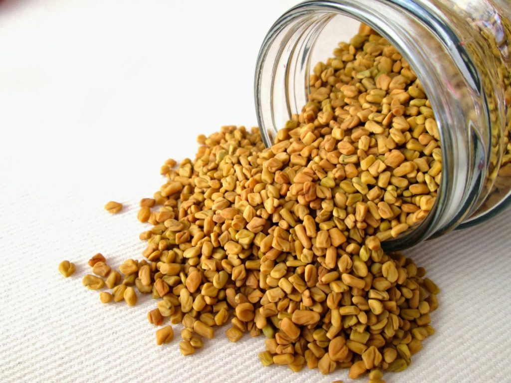 Fenugreek