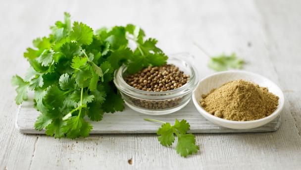 coriander